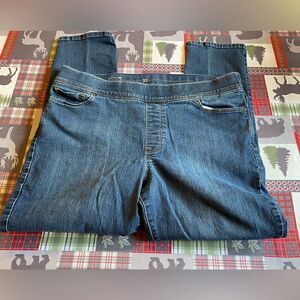 Levi’s Stretchy Jeans, size 33Wx27L. (J67)
